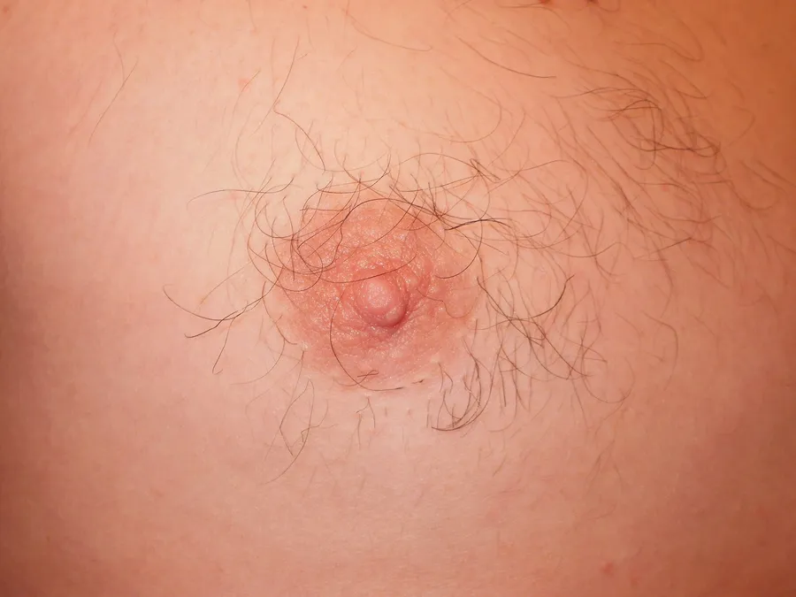 3D Nipple & Areola Tattooing in Melbourne — detail
